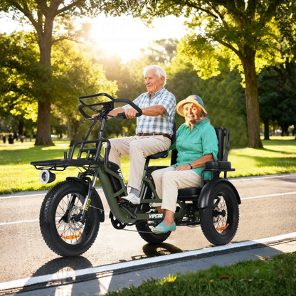 VIPCOO R1 - Elektro-Dreirad - Wheelyshop