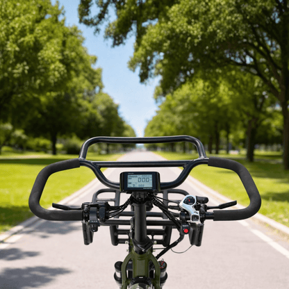 VIPCOO R1 - Elektro-Dreirad - Wheelyshop