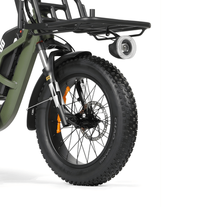 VIPCOO R1 - Elektro-Dreirad - Wheelyshop