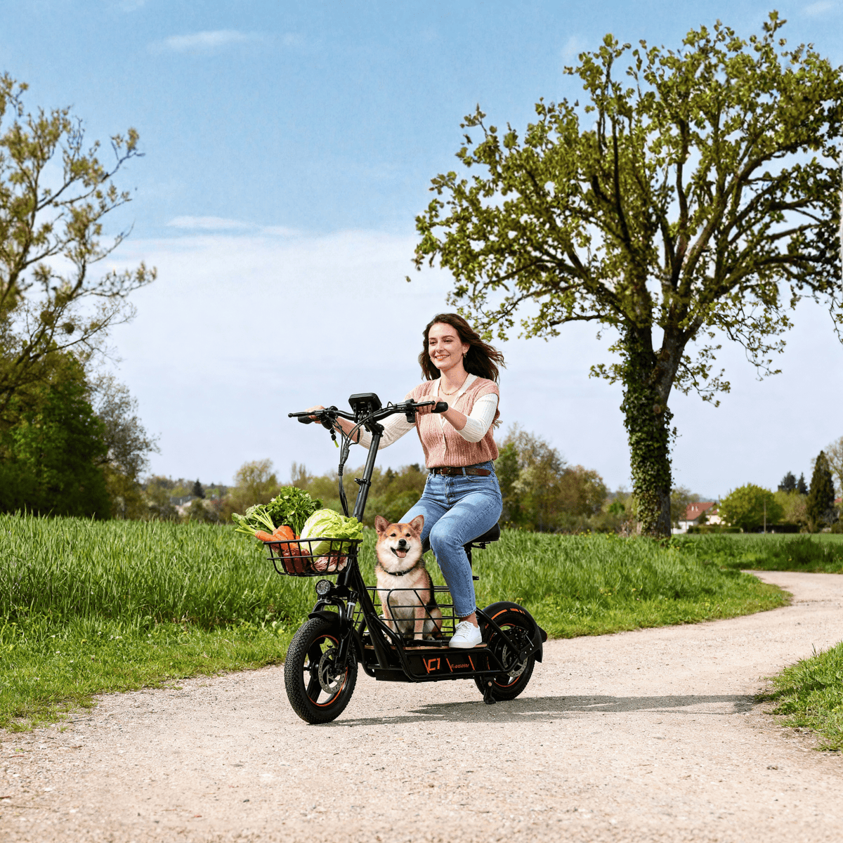 Frau auf dem Wheely H14 E-Scooter in einem Park
