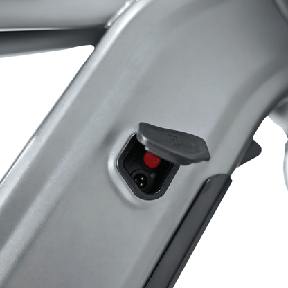 YANGOR Y20 Plus - E-Bike - Wheelyshop