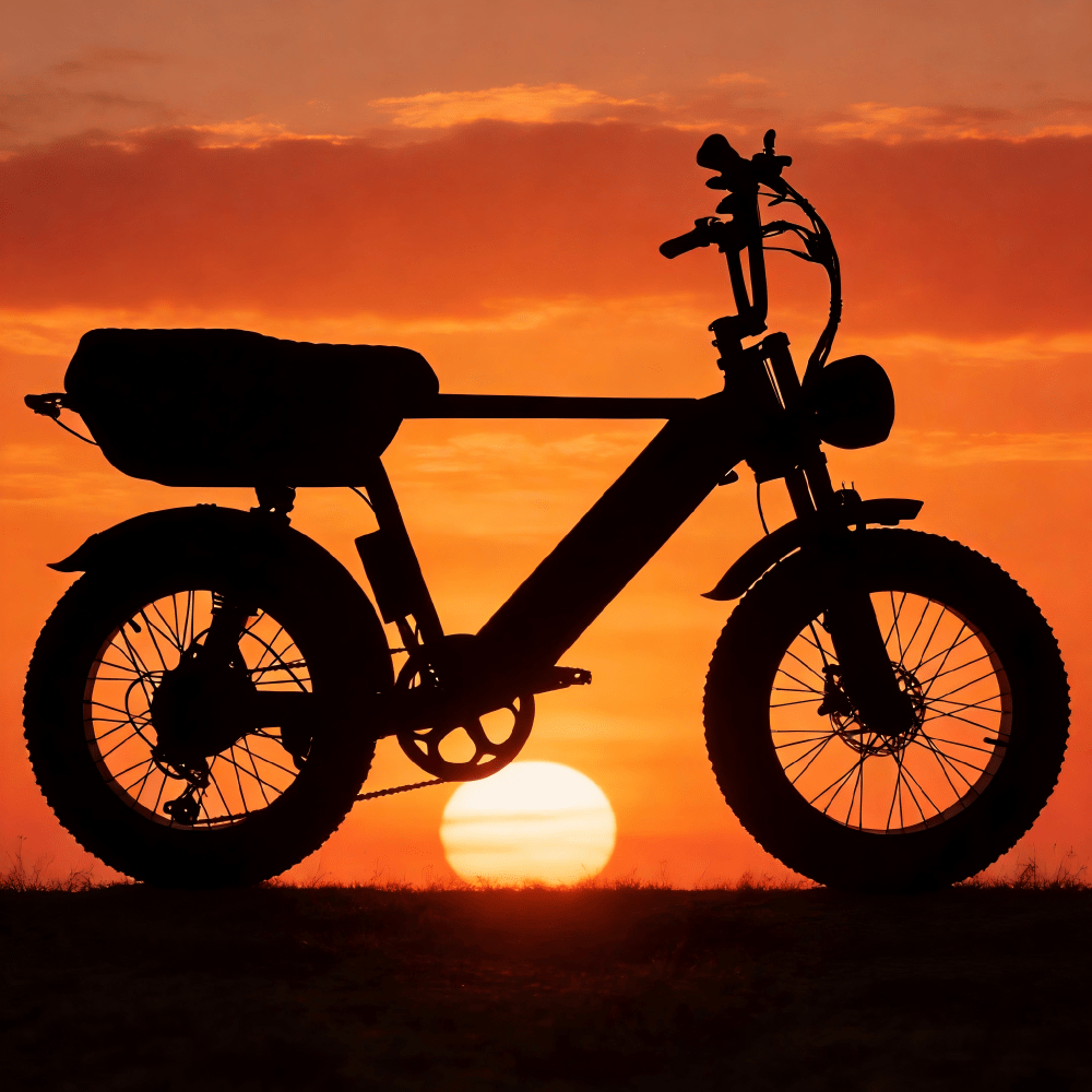 YANGOR Y20 Plus - E-Bike - Wheelyshop