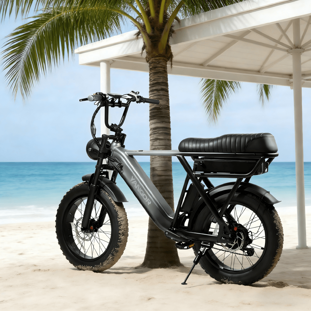YANGOR Y20 Pro - E-Bike - Wheelyshop