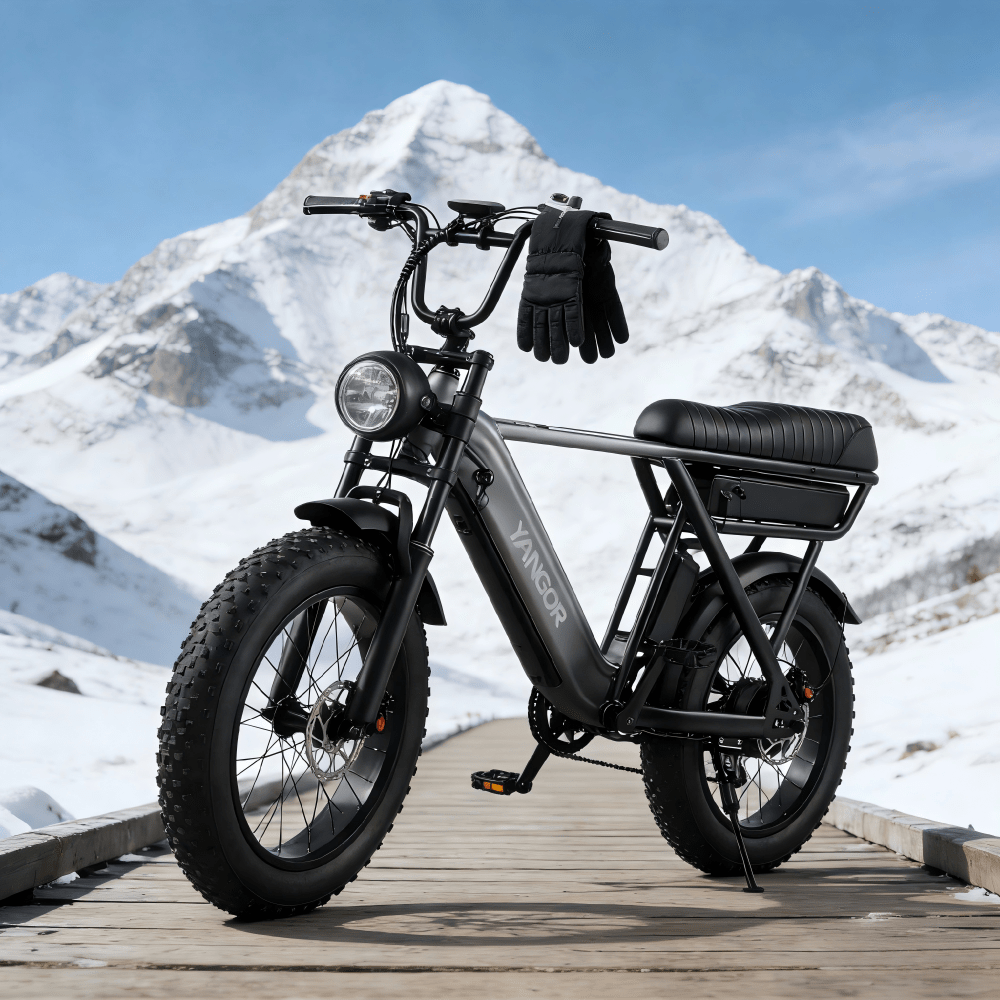 YANGOR Y20 Pro - E-Bike - Wheelyshop