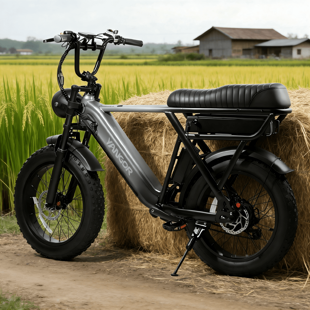 YANGOR Y20 Pro - E-Bike - Wheelyshop