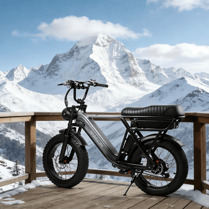 YANGOR Y20 Pro - E-Bike - Wheelyshop