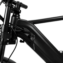 Rahmen des YANGOR Y20 Pro Max