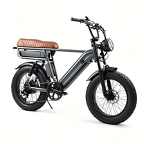 YANGOR Y20 Pro Max Fatbike-E-Bike schräg von vorne von der anderen Seite in Grau